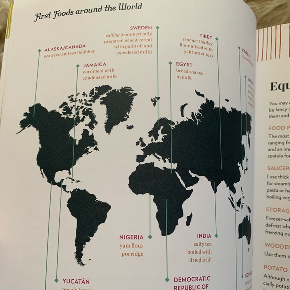 Around the World in 80 Purées Global recipes. - Picture 16 of 16